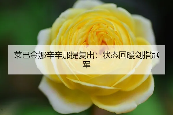 lai-ba-jin-na-xin-xin-na-ti-fu-chu-zhuang-tai-hui-nuan-jian-zhi-guan-jun-3-935.jpg
