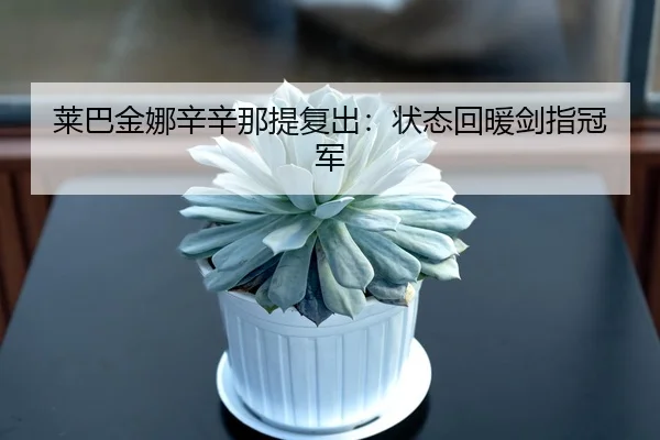 莱巴金娜辛辛那提复出：状态回暖剑指冠军