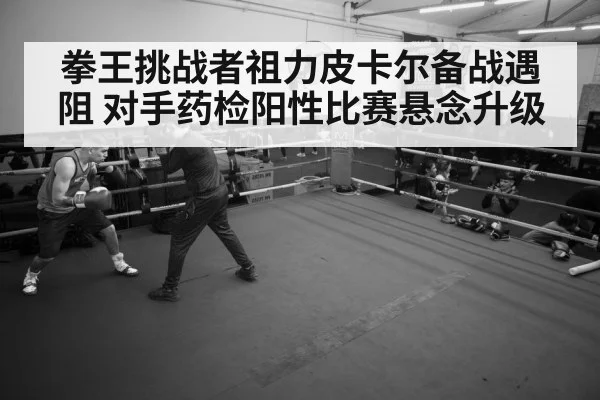 拳王挑战者祖力皮卡尔备战遇阻 对手药检阳性比赛悬念升级