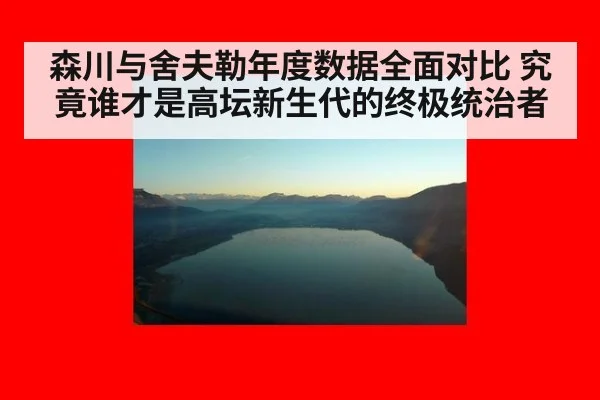 森川与舍夫勒年度数据全面对比 究竟谁才是高坛新生代的终极统治者